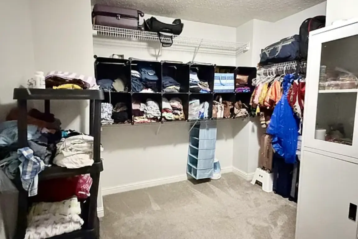 298 -showcase-32
