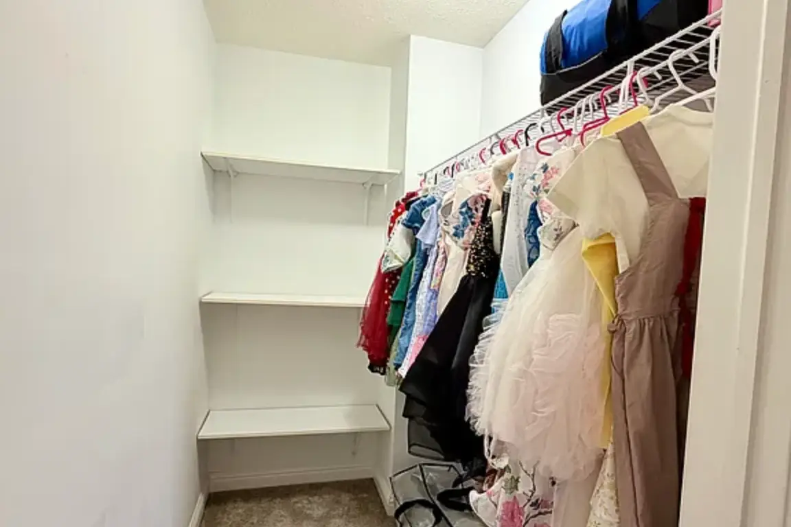 298 -showcase-38